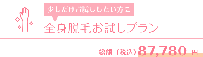 全身脱毛お試しプラン