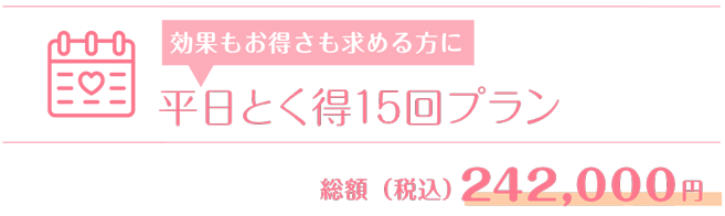 平日とく得15回プラン