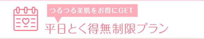 平日とく得無制限プラン
